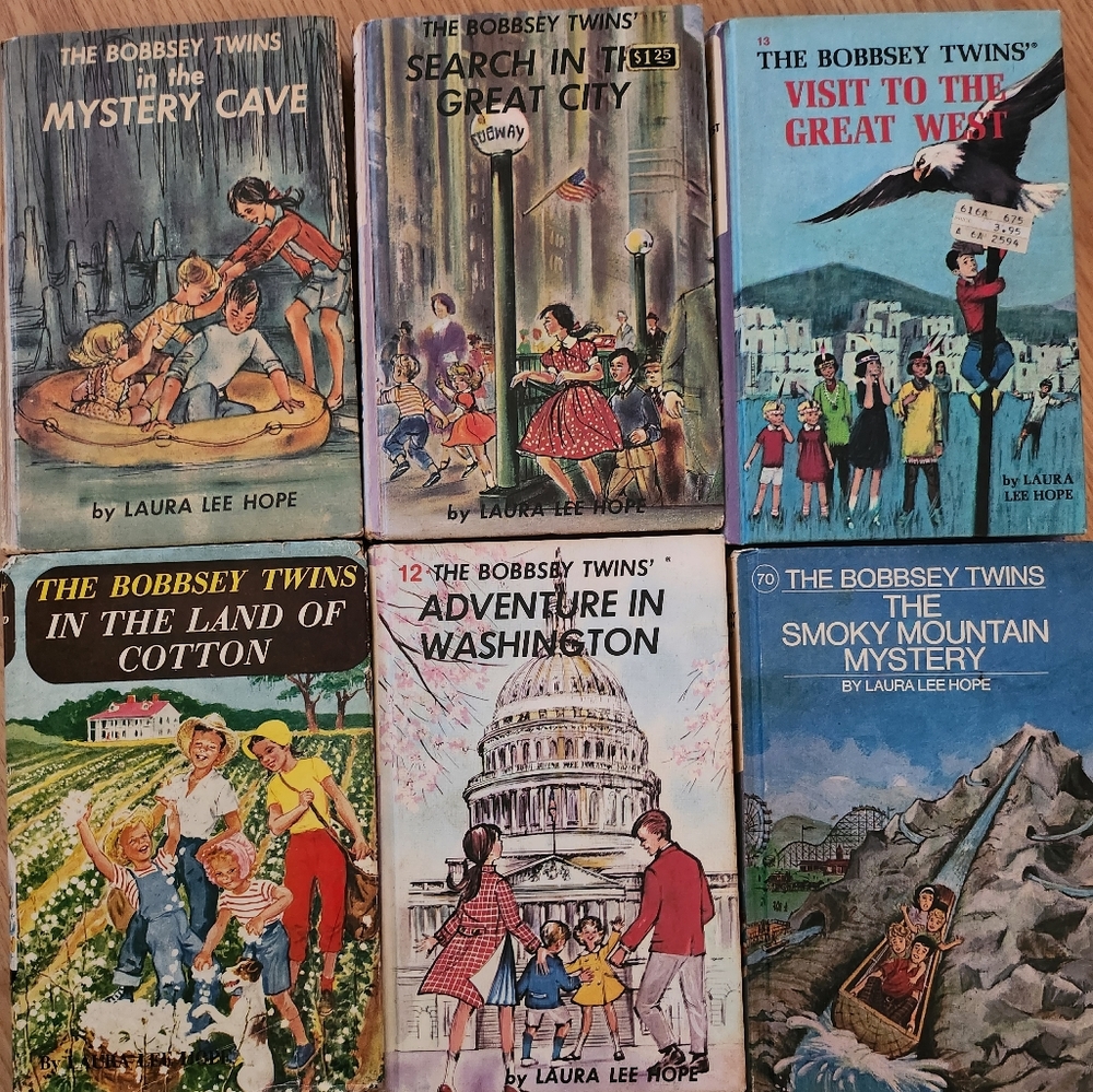 Set of 6 Vintage Bobbsey Twins collectible book series